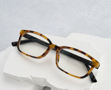 Load image into Gallery viewer, Memphis Tortoise - Peepers Readers