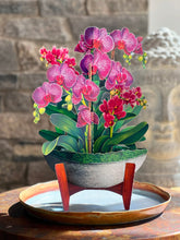 Load image into Gallery viewer, Orchid Oasis - Pop Up Flower Bouquet
