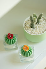 Load image into Gallery viewer, Barrel Cactus w/Red Flower Tealight Candle | Soy Wax Blend - Style D