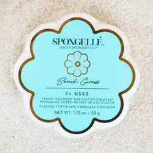 Load image into Gallery viewer, Beach Grass Daisy Spongette - 7+ Washes