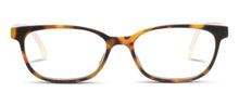 Load image into Gallery viewer, Beach Road Tortoise/Summer Stripe - Peepers Readers