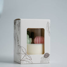 Load image into Gallery viewer, Cactus Candle | Soy Blend Candle - Mountain Walk Scent