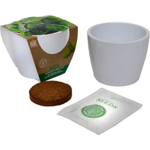 Load image into Gallery viewer, Classic Organic Basil Grow Kit – Timeless Ceramic Gift