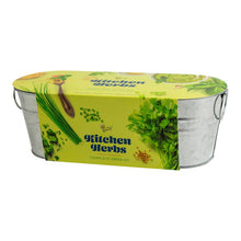 Load image into Gallery viewer, Galvanized Windowsill Kitchen Herb Grow Kit – Indoor Gift