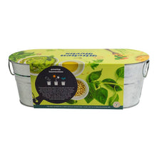 Load image into Gallery viewer, Galvanized Windowsill Kitchen Herb Grow Kit – Indoor Gift