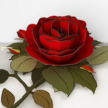 Load image into Gallery viewer, I Love You Roses Lovepop Card