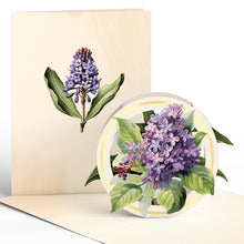 Load image into Gallery viewer, Beautiful Botanicals Paperpop® Card - Assorted