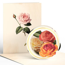 Load image into Gallery viewer, Beautiful Botanicals Paperpop® Card - Assorted