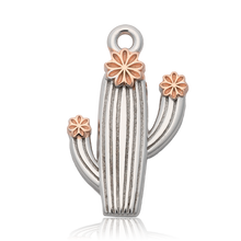 Load image into Gallery viewer, Robins Egg Agate Gemstone Bracelet with Cactus Cutout Sterling Silver Charm