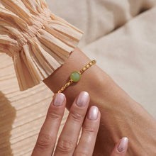 Load image into Gallery viewer, Serenity Stones Aventurine Bracelet In Gold-Tone Plating