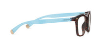 Load image into Gallery viewer, Sinclair Leopard Tortoise/Blue - Peepers Readers