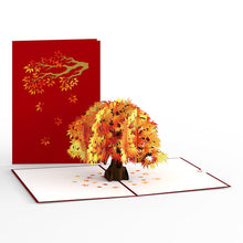 Load image into Gallery viewer, Sugar Maple Tree Lovepop 3D card