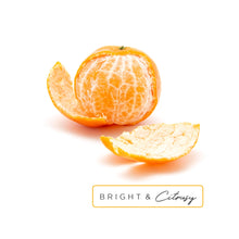 Load image into Gallery viewer, hydraAROMATHERAPY Shower Burst Duo in Rise