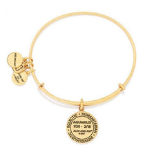 Load image into Gallery viewer, Aquarius III Charm Bangle