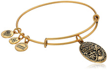 Load image into Gallery viewer, Alex and Ani Because I Love You Mom II Bangle Gold