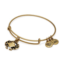 Load image into Gallery viewer, Alex and Ani Crab Charm Bangle Gold