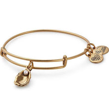 Load image into Gallery viewer, Alex and Ani Oyster Charm Bangle