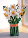 Load image into Gallery viewer, Daffodils - Pop Up Flower Bouquet
