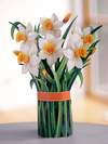 Load image into Gallery viewer, Daffodils - Pop Up Flower Bouquet