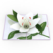 Load image into Gallery viewer, Sympathy Lily