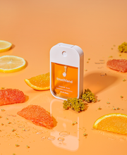 Load image into Gallery viewer, Power Mist Citrus Grove Hand Sanitizer - 1 fl oz (30ml)