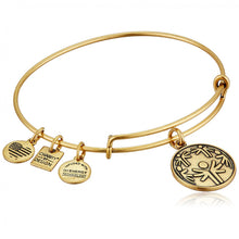 Load image into Gallery viewer, Alex and Ani Power of Unity Charm Bangle