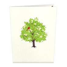 Load image into Gallery viewer, Radiant Cardinal