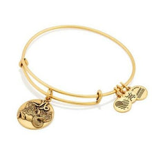 Load image into Gallery viewer, Capricorn III Charm Bangle