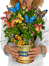 Load image into Gallery viewer, Butterflies and Buttercups - Pop Up Flower Bouquet

