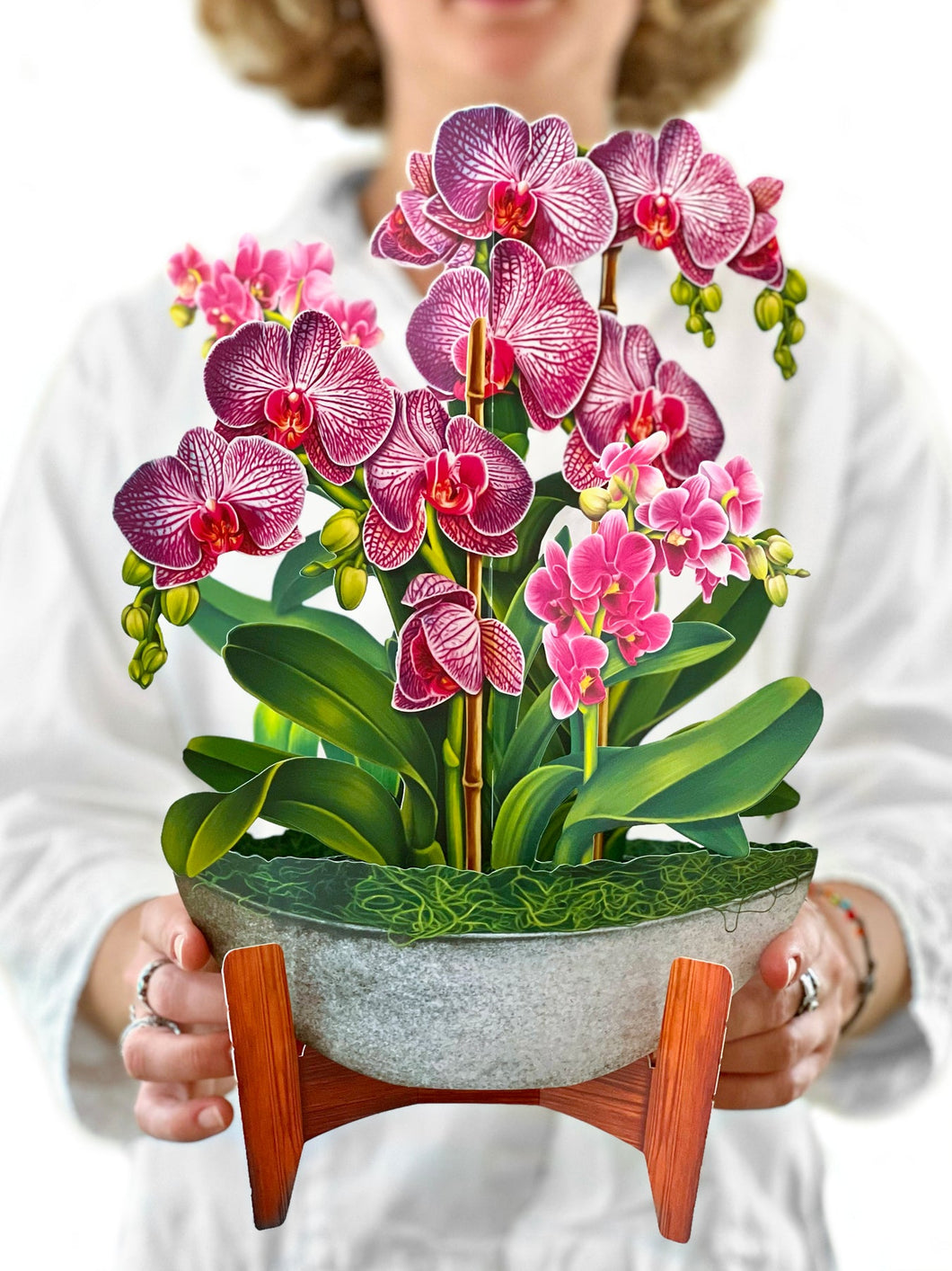 Orchid Oasis - Pop Up Flower Bouquet