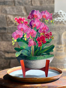 Orchid Oasis - Pop Up Flower Bouquet