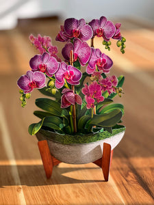 Orchid Oasis - Pop Up Flower Bouquet