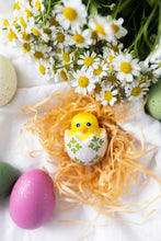 Load image into Gallery viewer, PREORDER - One Cool Chick - Chick in Egg
