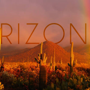 Arizona, Cactus and Rainbow Photograph - Organic Tote Bag