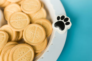 PREORDER - New Paw Print Mini