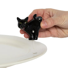 Load image into Gallery viewer, PREORDER - Scaredy Cat Mini
