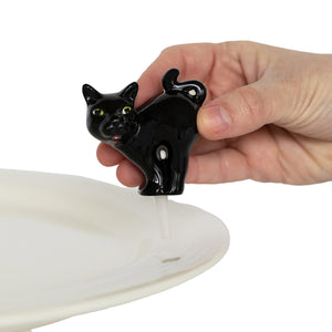 PREORDER - Scaredy Cat Mini