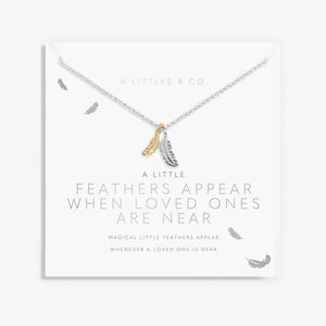 A Little 'Feathers Appear When Loved Ones Are Near' Necklace
