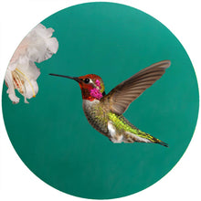 Load image into Gallery viewer, Anna&#39;s Hummingbird Silicone Jar Opener
