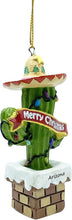 Load image into Gallery viewer, Arizona – Sombrero Hat Cactus – “Merry Christmas” – Resin Ornament 
