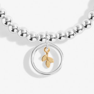 Beautifully Boxed A Little 'Family Is A Gift To Always Treasure' Bracelet & Gold-Tone Plating