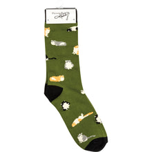 Load image into Gallery viewer, Box Sign &amp; Sock Set - One Cat Away From Being a Crazy Cat Lady
