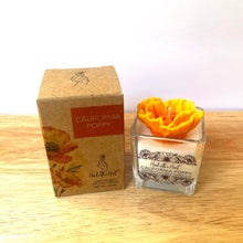Load image into Gallery viewer, California Poppy Soy Wax Candle  - 2.5oz
