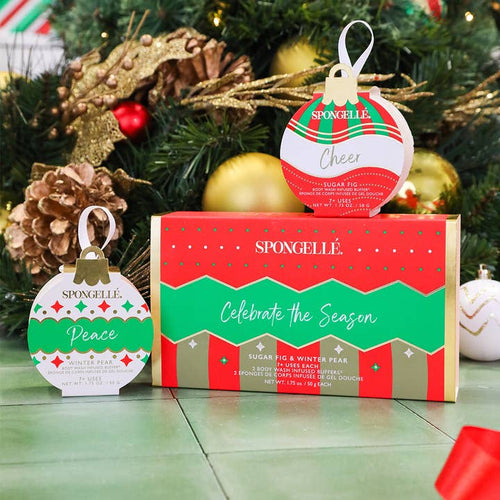 Celebrate the Season holiday Ornament Gift Set - 7+ Washes
