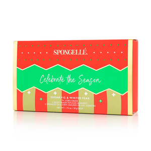 Celebrate the Season holiday Ornament Gift Set - 7+ Washes
