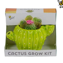Load image into Gallery viewer, Classic Cactus Grow Kit – Terracotta Indoor Plant Gift
