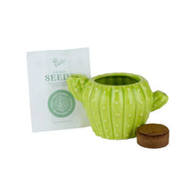 Load image into Gallery viewer, Classic Cactus Grow Kit – Terracotta Indoor Plant Gift
