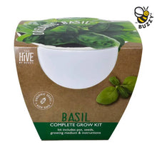 Load image into Gallery viewer, Classic Organic Basil Grow Kit – Timeless Ceramic Gift
