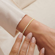 Load image into Gallery viewer, Cubic Zirconia Tennis Bracelet  in Gold Tone Plating
