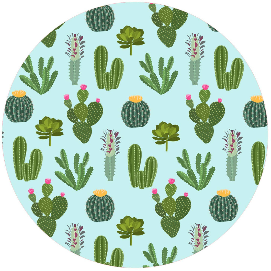 Desert Wonder 8
